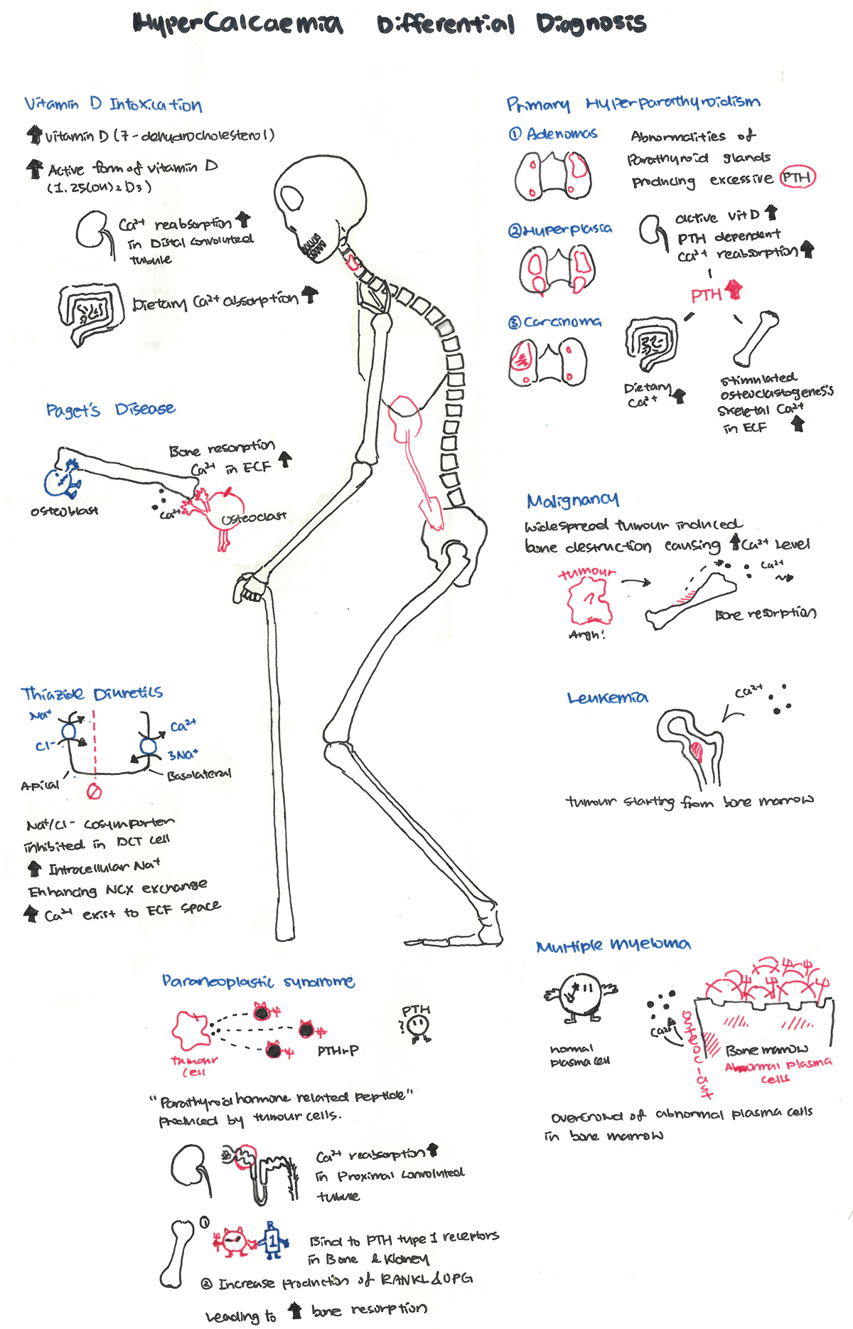 Doxycycline online