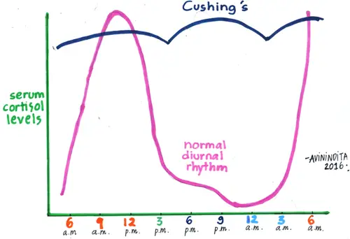 Cushings Graph