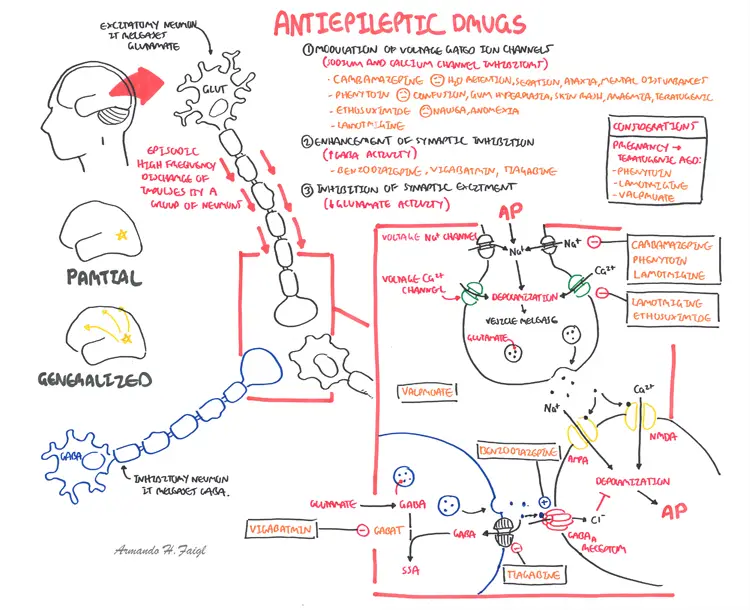 Pharmacology - Antiepileptics