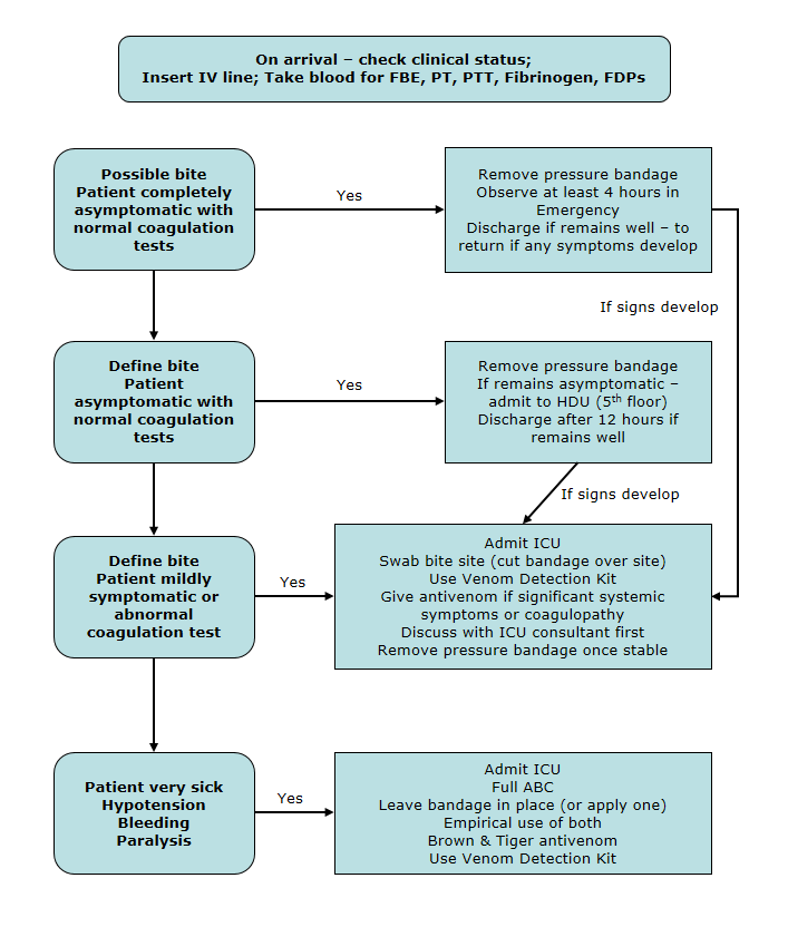 Envenomation Bites Flowchart