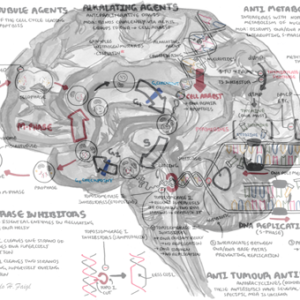 Pharmacology - Chemotherapy - Personal use