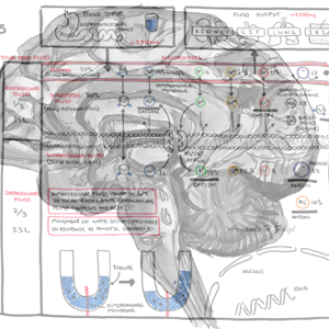 Fluid and electrolyte physiology - Personal use