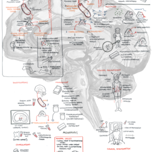 Addison's Disease - Personal use