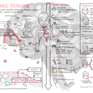 Kawasaki Disease - Personal use