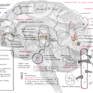 Strep Throat (bacterial pharyngitis) - Personal use