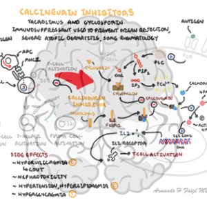 Calcineurin Inhibitor - Personal use