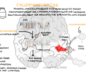 Cyclophosphamide - Personal use