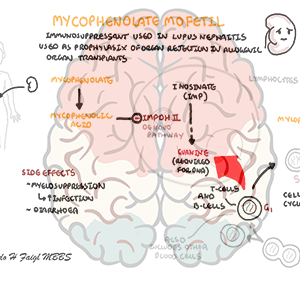 Mycophenolate - Personal use