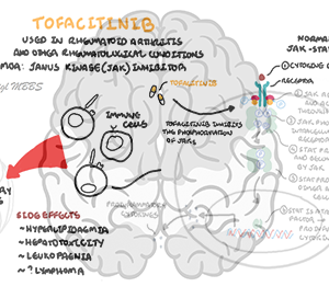 Tofacitinib - Personal use