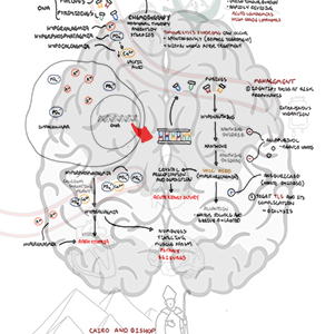 Tumour Lysis Syndrome - Personal use