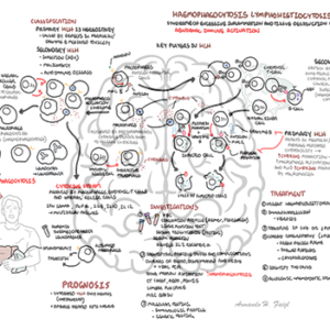 Hemophagocytic lymphohistiocytosis