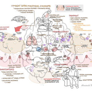 Lambert-Eaton myasthenic syndrome (LEMS)