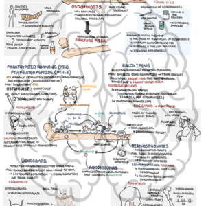 Pharmacology of Osteoporosis