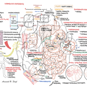 Vitamin B12 Deficiency