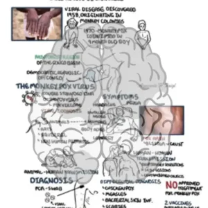 Monkey pox infographic thumbnail by armando hasudungan