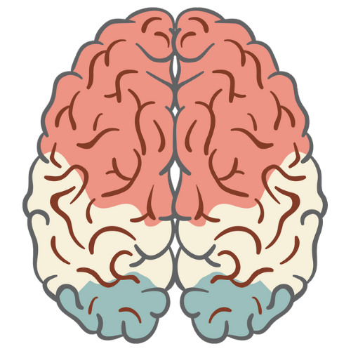 Default Category Icon