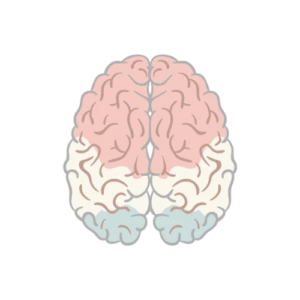 Armando Hasudungan logo brain transparent