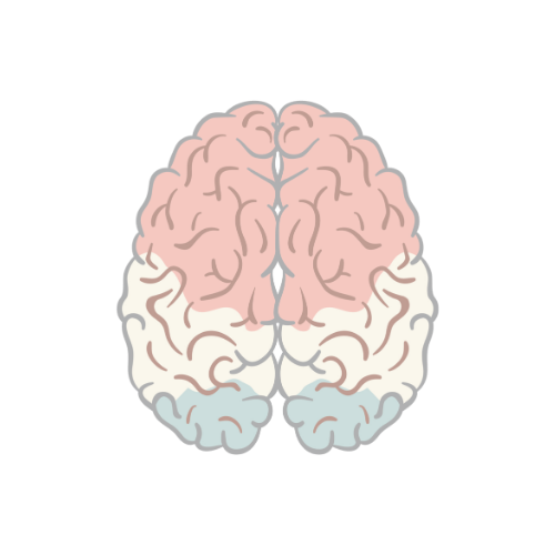Armando Hasudungan logo brain transparent