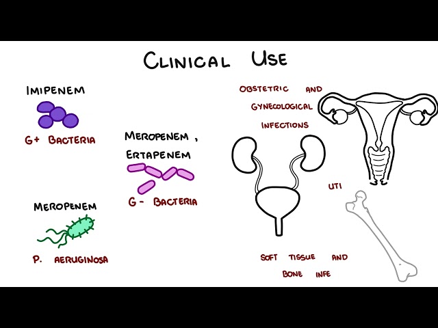 Thumbnail for YouTube medical video: Carbapenem Antibiotics - Meropenem, Imipenem, Ertapenem