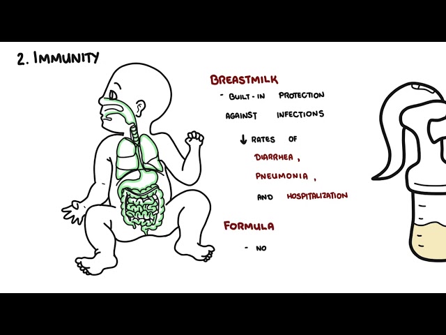 Thumbnail for YouTube medical video: Breastfeeding or Formula? Pros and Cons Explained