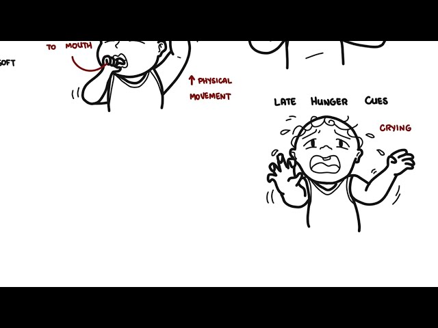 Thumbnail for YouTube medical video: Feeding the newborn: Is my baby eating enough?