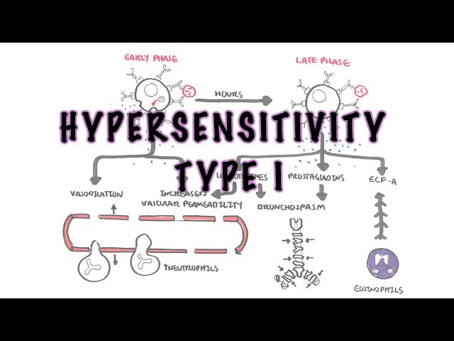 Thumbnail for YouTube medical video: Hypersensitivity Type I reaction (Immediate or allergic reaction) - pathophysiology