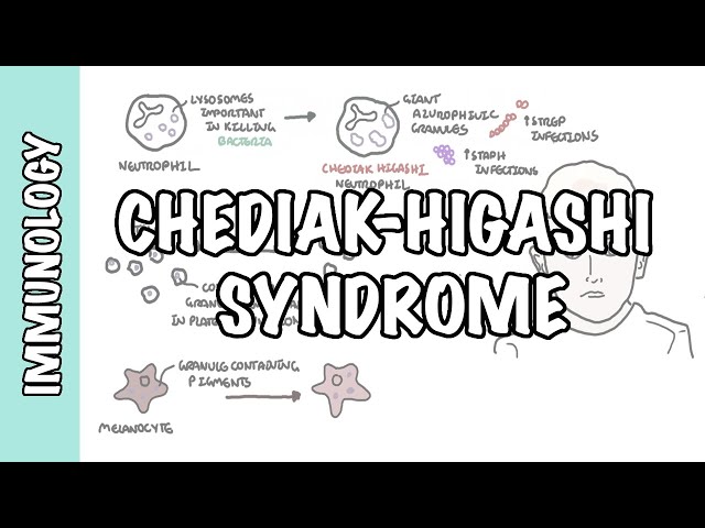Thumbnail for YouTube medical video: Chediak Higashi Syndrome