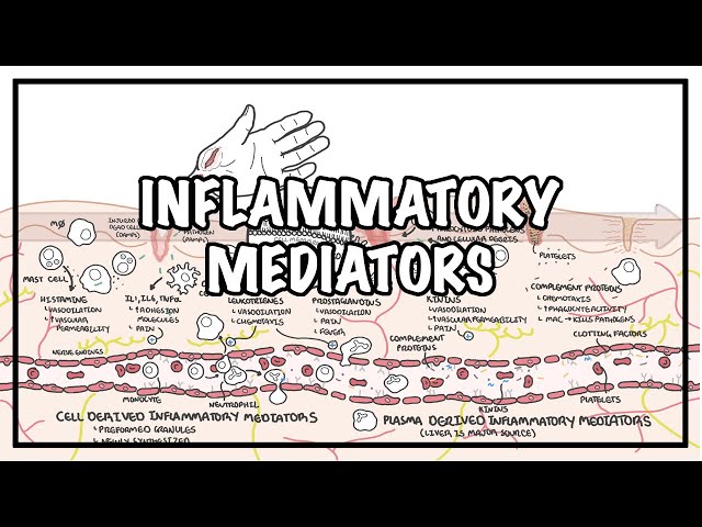 Thumbnail for YouTube medical video: Inflammatory mediators and the inflammatory response