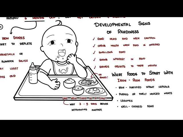 Thumbnail for YouTube medical video: When & How to Start Solid Foods for Your Baby