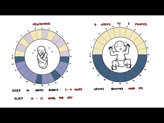 Thumbnail for YouTube medical video: Crying and Sleeping in Babies