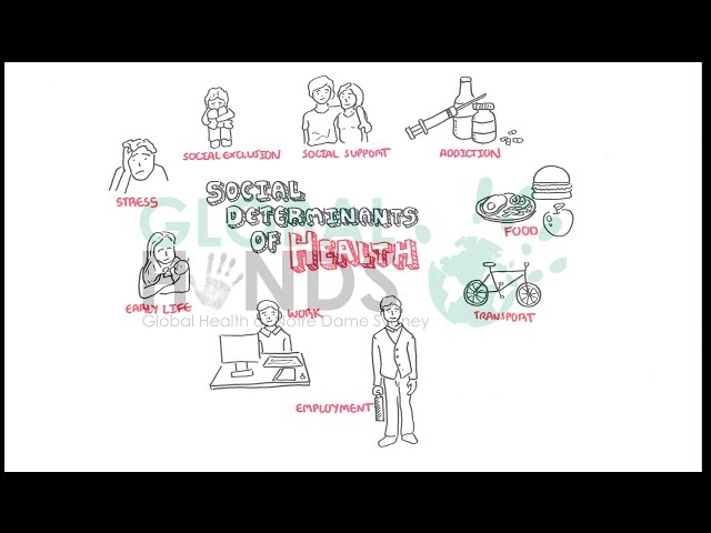 Thumbnail for YouTube medical video: Global Hands - Social Determinants of Health — Others