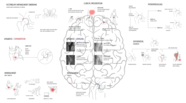 Acetabular impingement syndrome