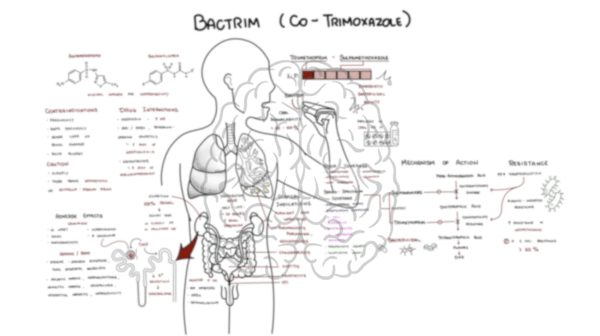 Bactrim (Co-Trimoxazole)