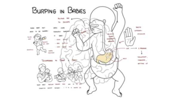 Burping - paediatrics