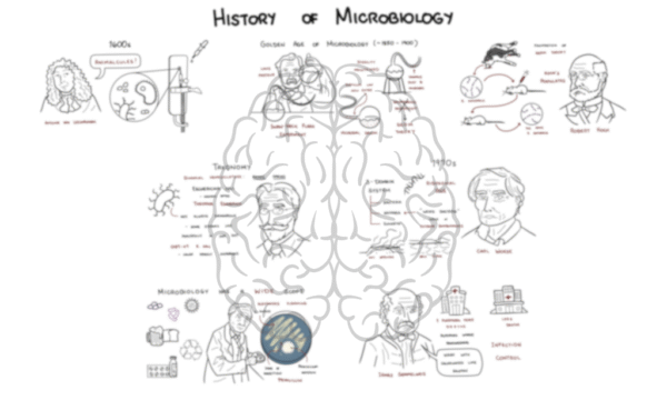 History of Microbiology
