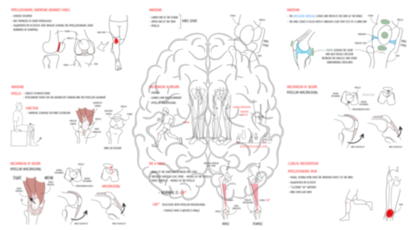 Patellofemoral syndrome