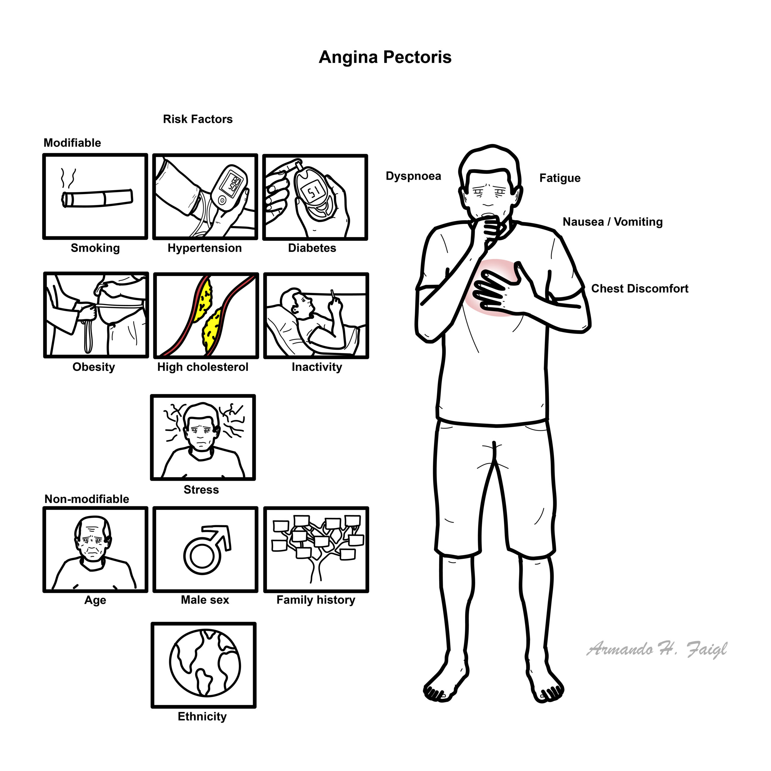 Infographic on angina pectoris showing chest pain symptoms (dyspnoea, fatigue, nausea/vomiting) and risk factors list.