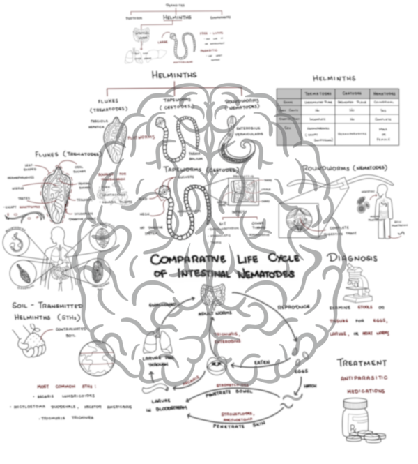 Helminths