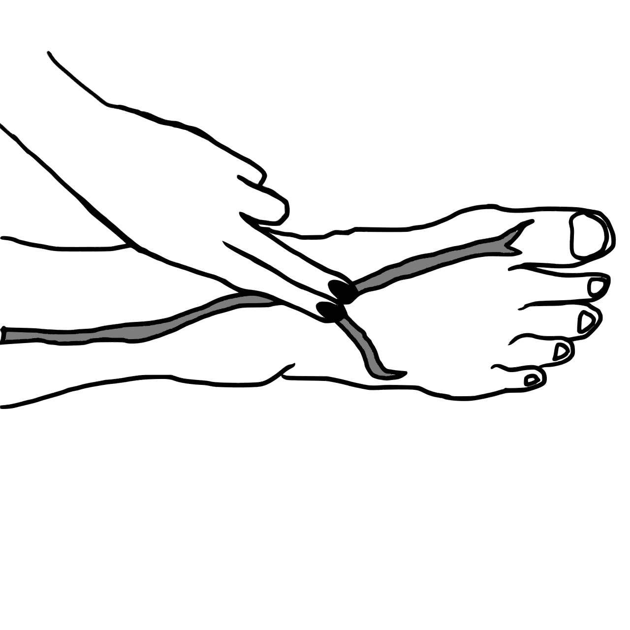 Illustration showing finger placement over the dorsalis pedis artery on the dorsum of the foot.