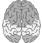 Profile photo of 