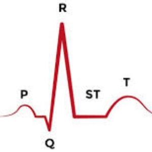 Group logo of ECG Group